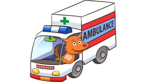 CARTOON AMBULANCE PUZZLE online