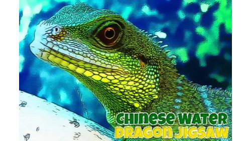 CHINESE WATER DRAGON JIGSAW online