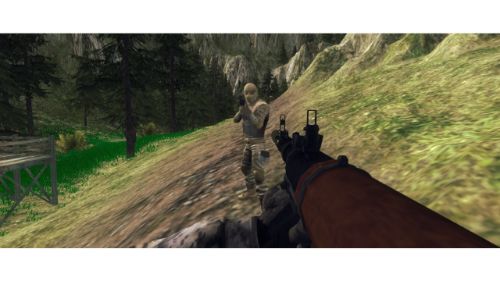 CRAZY COMMANDO online