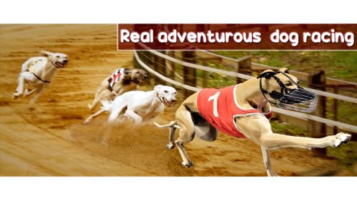 CRAZY DOG RACING GAME 2020 online games