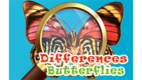 DIFFERENCES BUTTERFLIES online