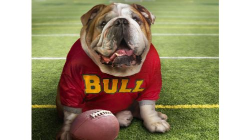 FUNNY DOGGY PUZZLE online games