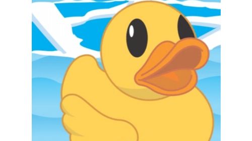 HELP THE DUCK online games