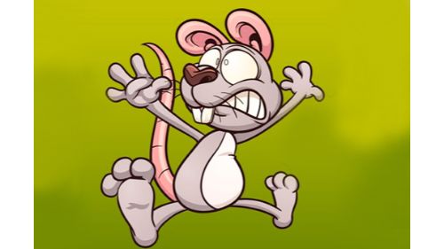 MOUSE HUNT RUNNER online games