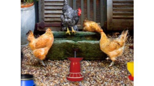 POULTRY FARM EASTER ESCAPE online