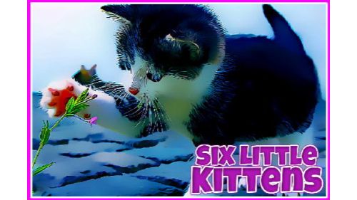 SIX LITTLE KITTENS online games