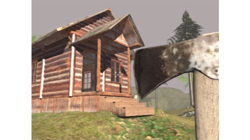 SURVIVING IN THE WOODS online